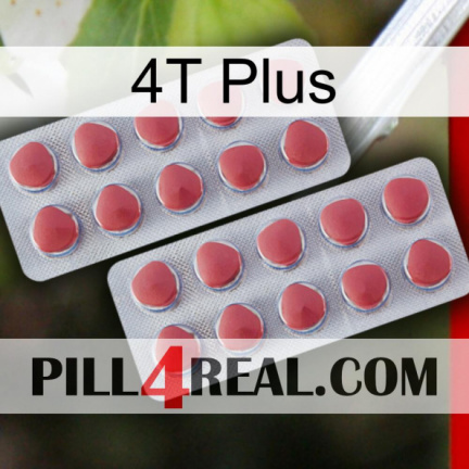 4T Plus 19